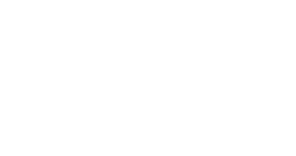 bigegret.ie